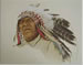 Crow Indian