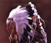 Eagle Feathers